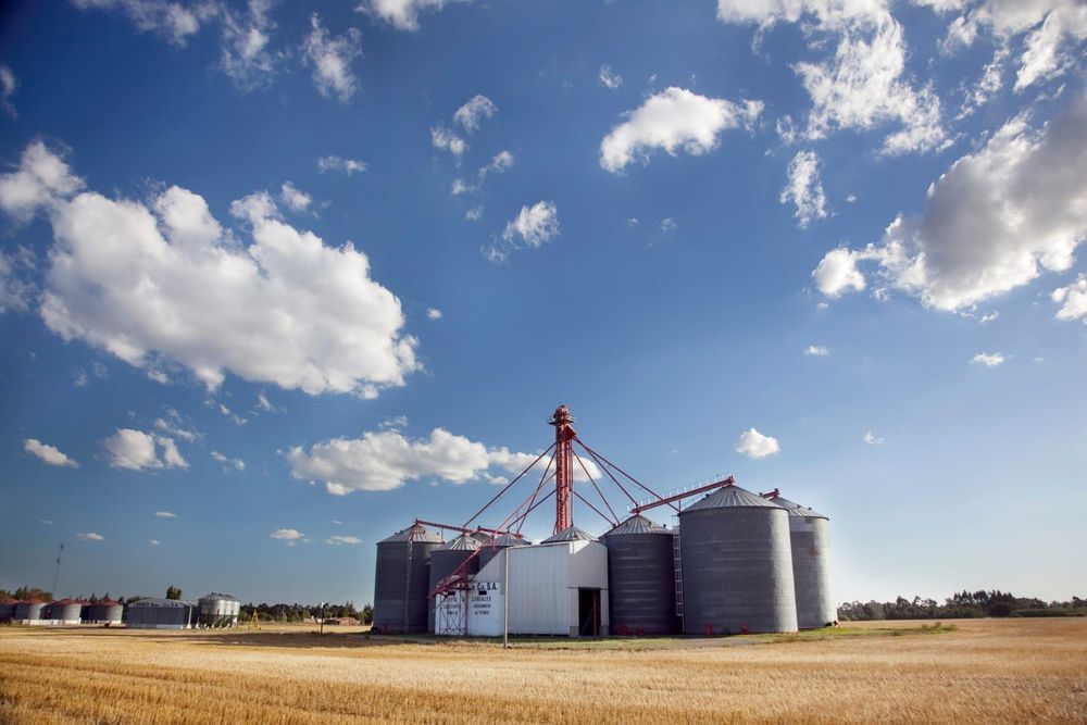 Imagen de portada - The National Government Formalized a New Reduction in Export Duties for the Agricultural Sector
