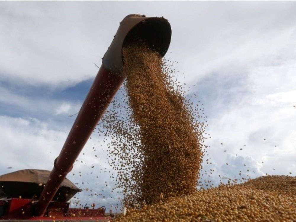La industria aceitera volvió a liderar la capacidad de pago por el poroto de soja