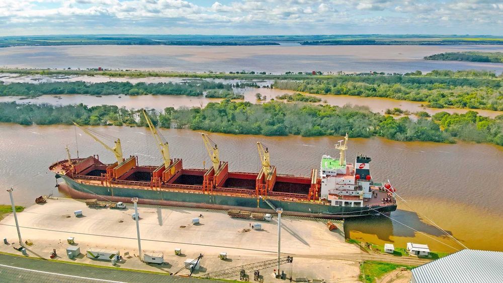 El Puerto de Concepción del Uruguay suma su 12.ª exportación del año con embarques de madera y harina de soja