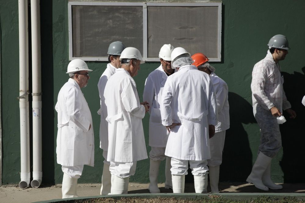 La Secretaría de Agricultura, Ganaderia y Pesca acortó a 90 días el plazo para resolver infracciones comerciales en granos y carnes