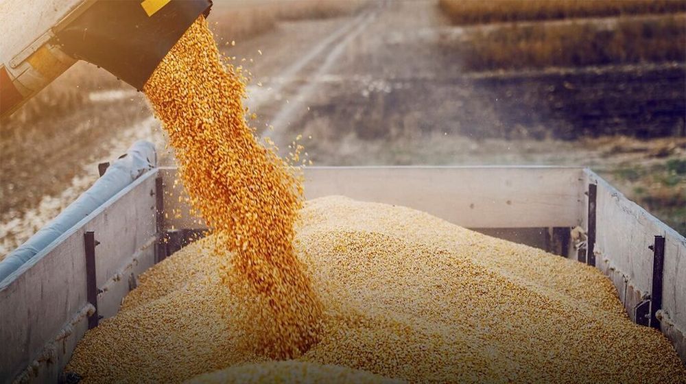 El estado de la soja y el maíz en Estados Unidos superó las expectativas del mercado pese a la ola de calor registrada en las últimas semanas