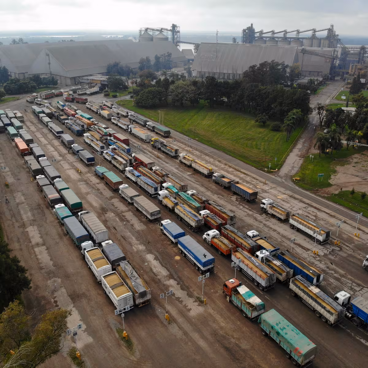 Menos del 15% de los camiones arribados a los puertos transportaron soja y se dispara el costo por capacidad ociosa