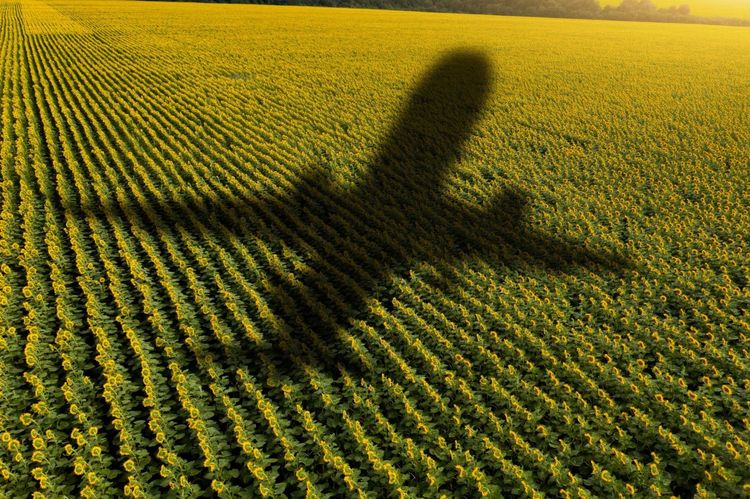 Bunge asegura poder rastrear hasta el campo de origen toda la soja que compra en la Argentina