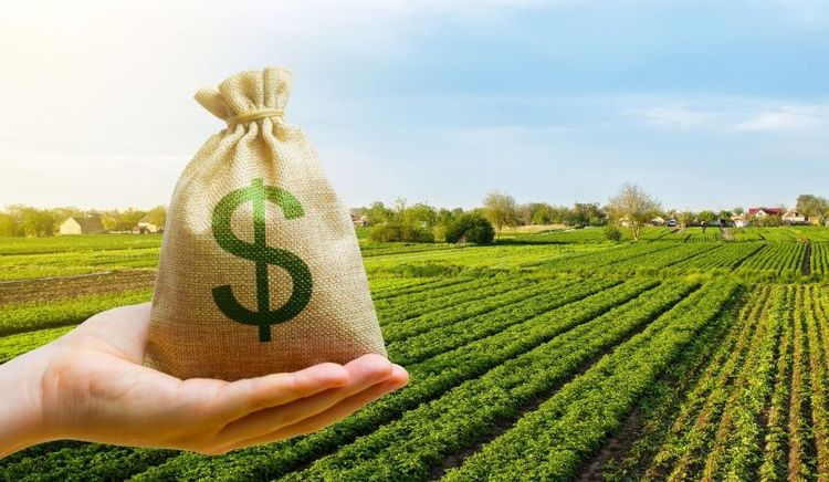 General Villegas es el partido agropecuario con mayor PBI de la provincia