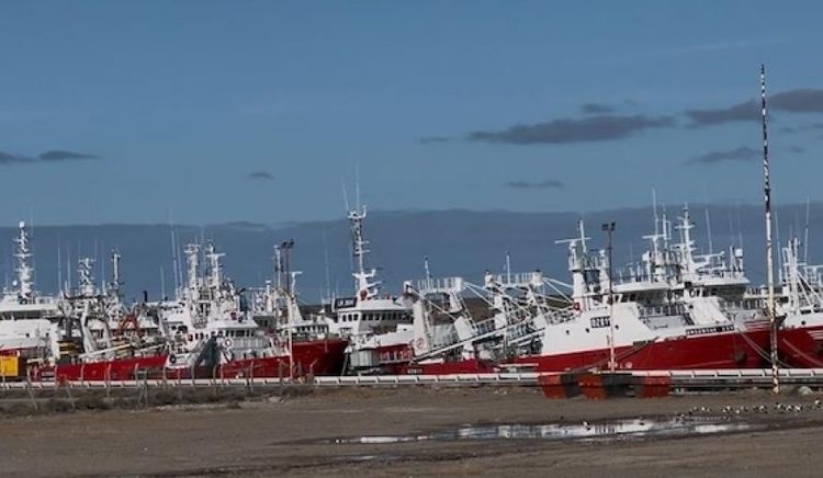 Cierran tres subáreas a la pesca de langostino por sobrepasar el límite de captura incidental de merluza