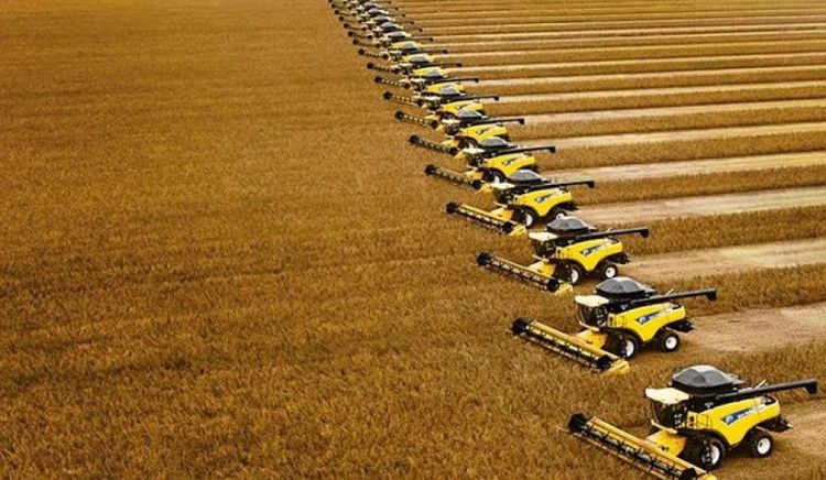 Cargill advierte que sus inversiones en el procesamiento de soja en Brasil están bajo amenaza por la guerra comercial