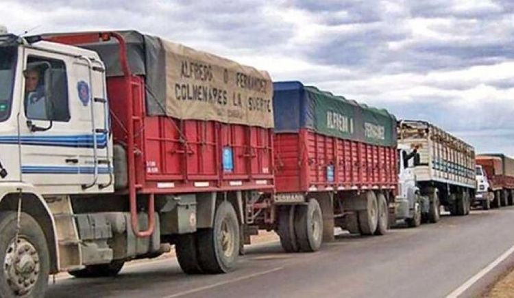 Transporte de cargas: advierten por rutas deterioradas y demoras en el sistema de licencias