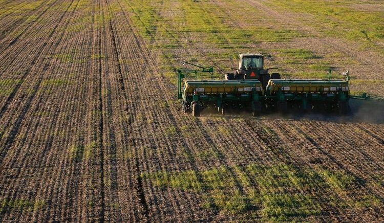 Retrasos y dudas en la siembra de trigo: La lluvia complica el avance de la campaña fina en un 70%