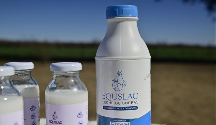 Descubren un "súper alimento" que crece en el mundo: Equslac, única en Argentina que lo industrializa, busca expandirse y ganar otros mercados