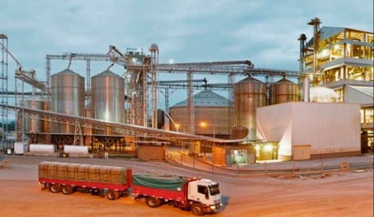 Paritarias en la Agroindustria: Acuerdo salarial asegura la previsibilidad del sector aceitero