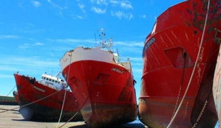 Rescisión unilateral de la Ex Alpesca: El bloqueo del registro nacional de buques imposibilitó el traspaso operativo a Profand