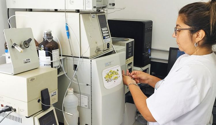 Certifican nuevos bioproductos de FAUBA, INTA y CONICET para impulsar la sostenibilidad
