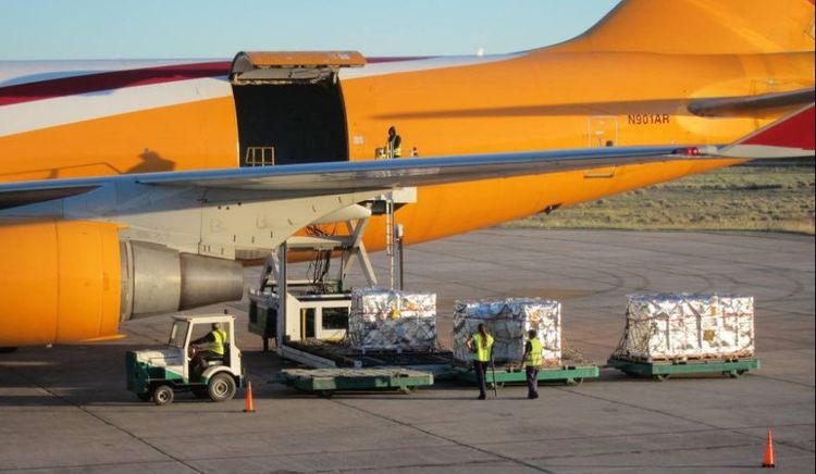 DHL fortalece su red en el interior y suma a Neuquén como nodo para el comercio exterior