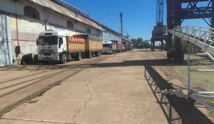 Barranqueras inició la operatoria 2026 con el primer ingreso de semillas de girasol