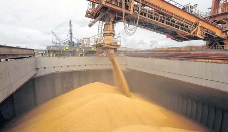 Diciembre 2025: ingreso histórico de granos al Gran Rosario impulsado por trigo y soja