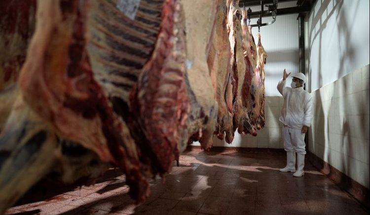 Argentina y China avanzaron en la definición del esquema de distribución de la cuota de 511.000 toneladas de carne vacuna