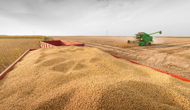 CIARA-CEC resaltó que India se mantiene como destino clave para los aceites vegetales argentinos