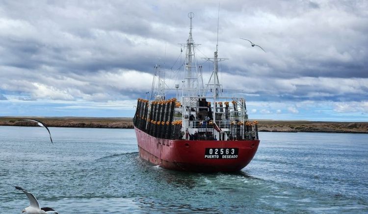 Puerto Deseado se prepara para recibir a los primeros poteros y activar la temporada de calamar