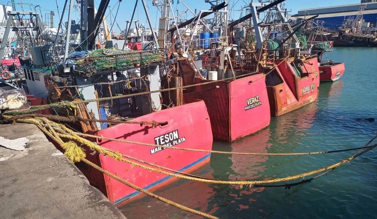 La flota fresquera de Mar del Plata inicia el año con actividad parcial y demoras por mal tiempo