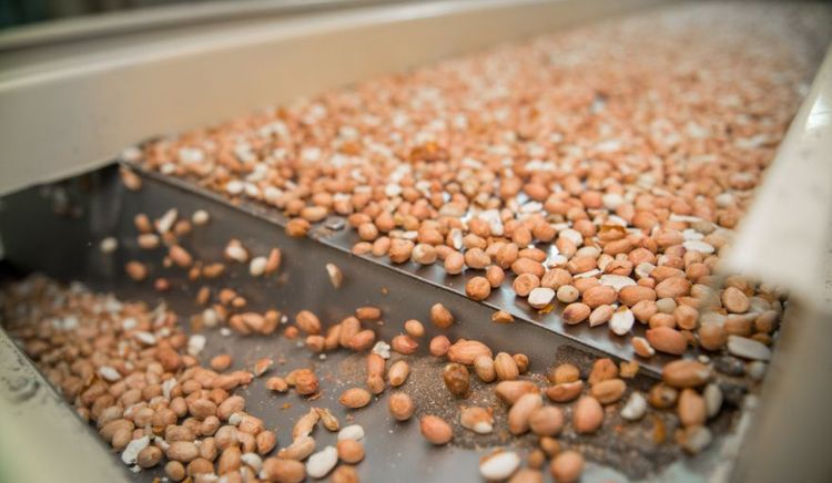 Argentina rompe récords: 115 millones de toneladas exportadas en 2025