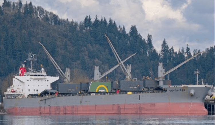 La naviera K Line emite un reporte oficial sobre el naufragio del granelero Devon Bay