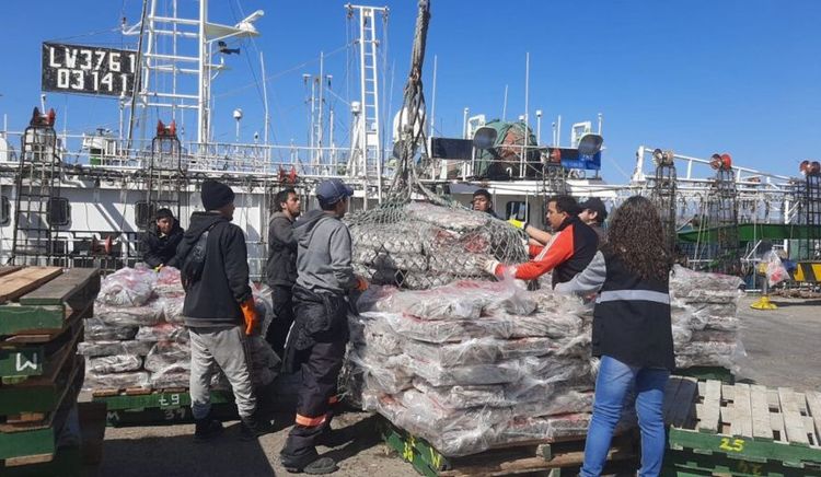 Puerto Deseado vuelve a ponerse en marcha con el inicio de la zafra de calamar