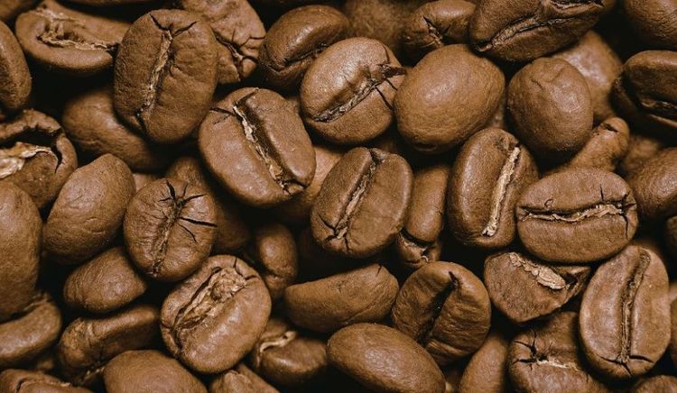 Exportadores de café de Brasil registraron pérdidas logísticas millonarias por fallas portuarias en 2025