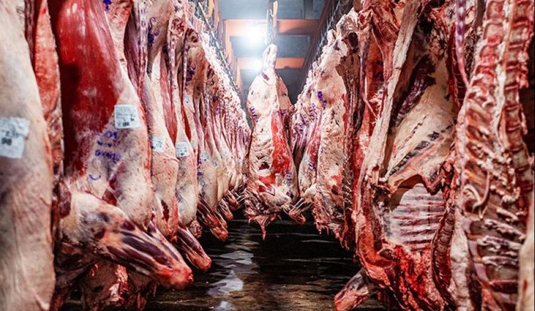 El Gobierno distribuyó el cupo 2026 de carne vacuna deshuesada con destino a Estados Unidos