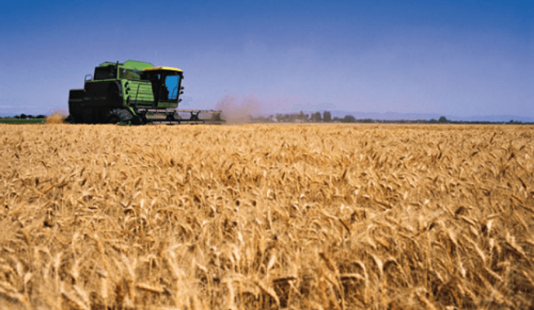 La actividad económica frenó la caída en diciembre, impulsada por el sector agrícola