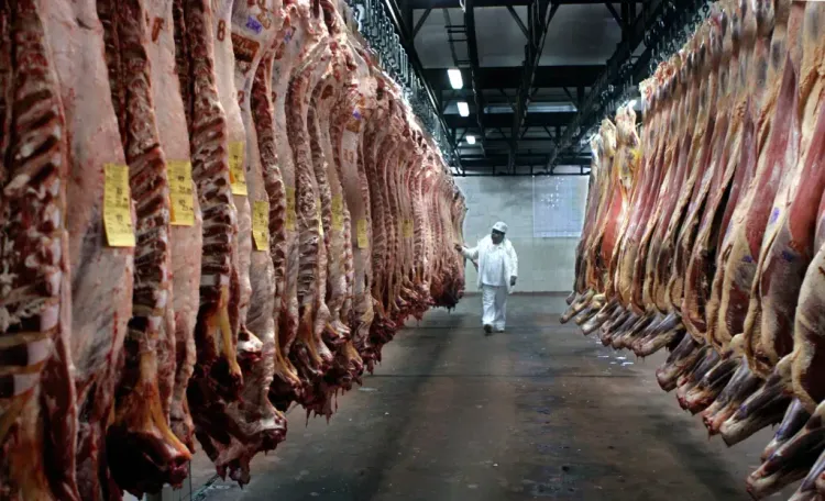 Exportaciones de carne vacuna: los factores que explican el récord de divisas en 2025