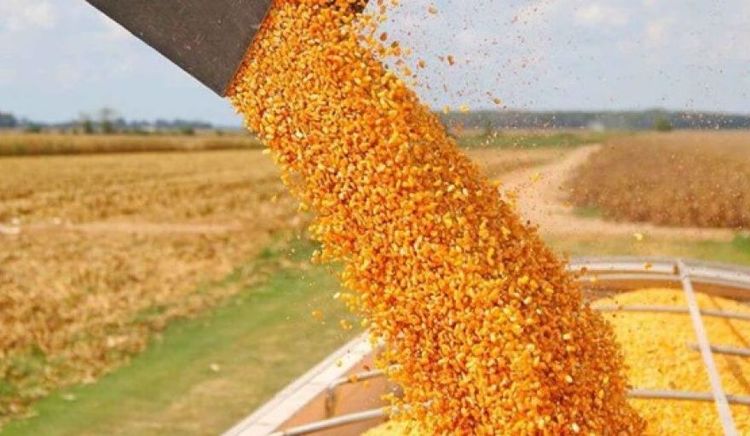 Córdoba: la agroindustria explicó el 85% de los ingresos por exportaciones en 2025