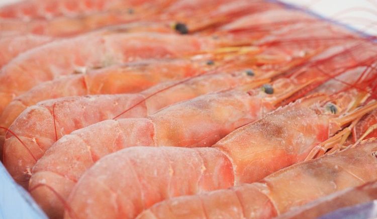 El langostino argentino obtuvo la certificación del Marine Stewardship Council