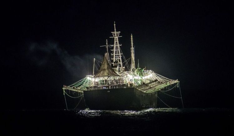 Avanza la zafra de calamar mientras el langostino transita la etapa final de la temporada