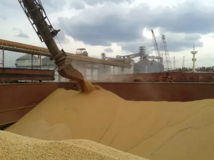Con un alza del 82% mensual, la agroindustria liquidó USD 1.850 millones en enero
