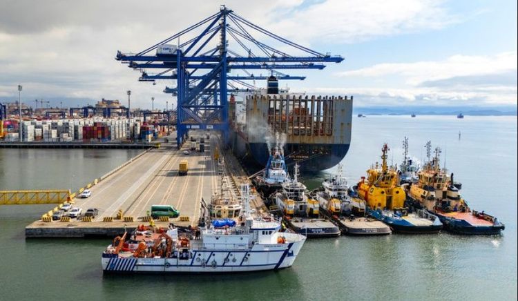 Brasil abrió una consulta pública para elaborar el plan maestro del complejo portuario de Paranaguá y Antonina