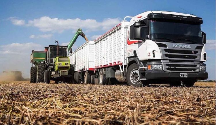 Actualizan requisitos para la “Carta de Porte Electrónica” en el transporte de granos y derivados en Argentina