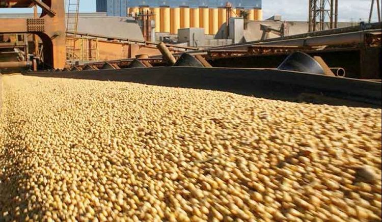 El 75% del mundo disfruta productos agroindustriales argentinos
