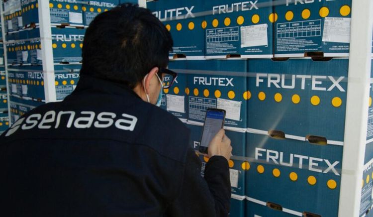 Argentina incorpora a México al sistema ePhyto y amplía el comercio fitosanitario digital