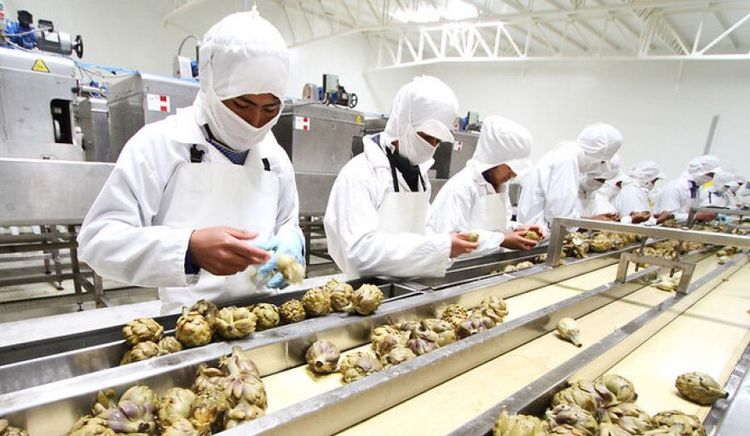 Perú lideró el crecimiento regional de las exportaciones no tradicionales en 2025