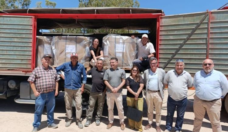 Jáchal concreta su primera exportación de semillas de cebolla a Holanda