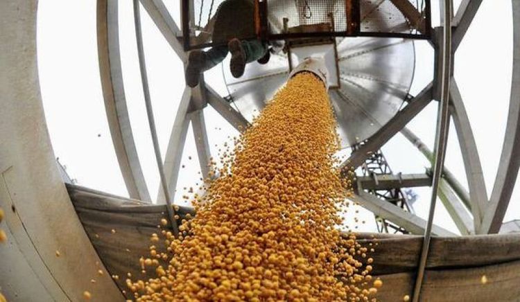 Las Bolsas de Cereales y Comercio respaldan la modernización laboral y el incentivo a las inversiones