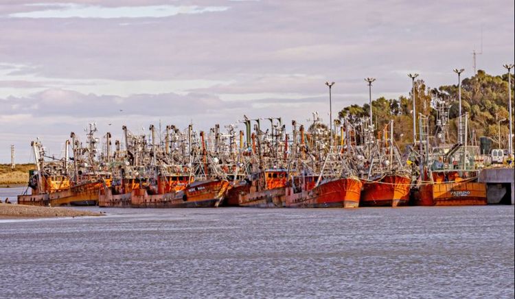 Chubut impulsa una reforma estructural del régimen pesquero e incorpora la Ficha Limpia obligatoria