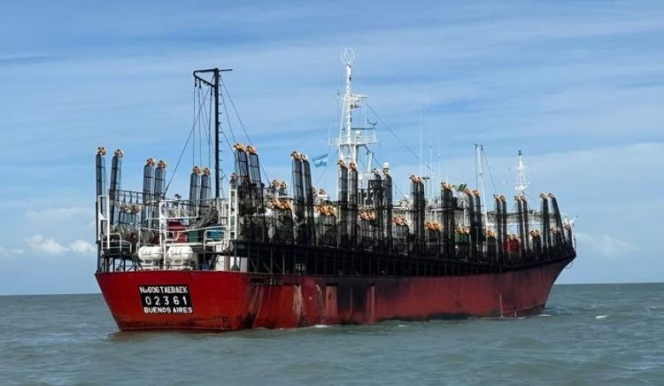 Puerto Madryn encabeza las descargas de calamar en el inicio de la temporada 2026