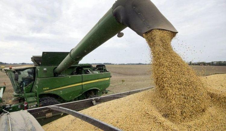 Argentina podría perder el liderazgo mundial en exportaciones de harina de soja