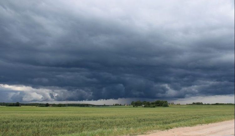 Lluvias desparejas y fuerte oscilación térmica marcarán el cierre de febrero en el área agrícola