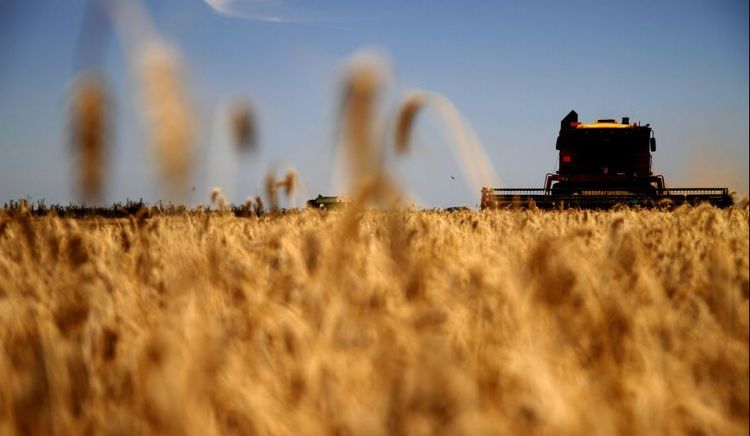 Las exportaciones agroindustriales alcanzaron en enero su nivel más alto en diez años