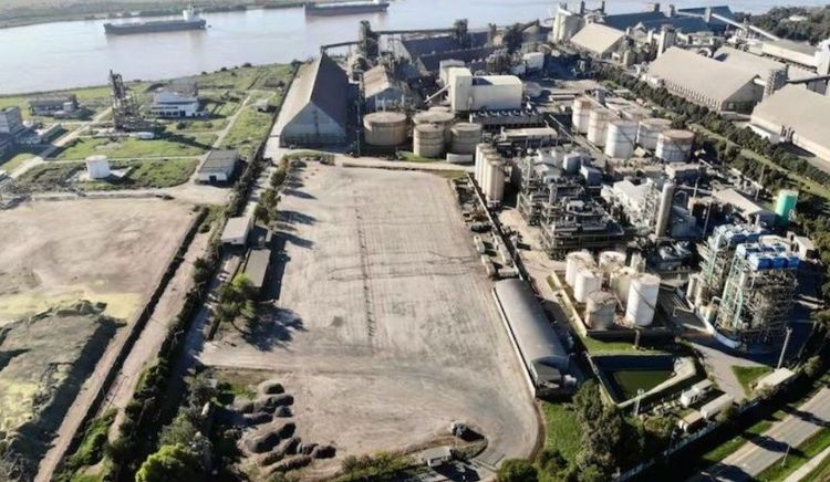 Nuevo paro de la Federación Aceitera impacta en la industria aceitera