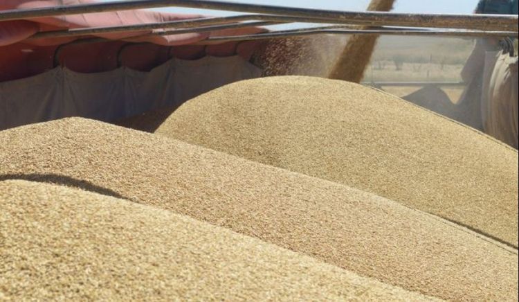 Bolsas de Cereales y Comercio respaldan el acuerdo Mercosur-UE y la modernización laboral