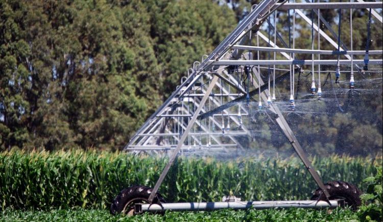 El RIMI abre un nuevo escenario para las inversiones agroindustriales
