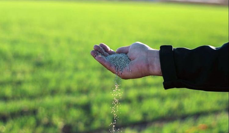 Más del 60% de la urea que importa la Argentina proviene de Medio Oriente